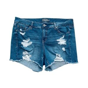 Torrid jean shorts